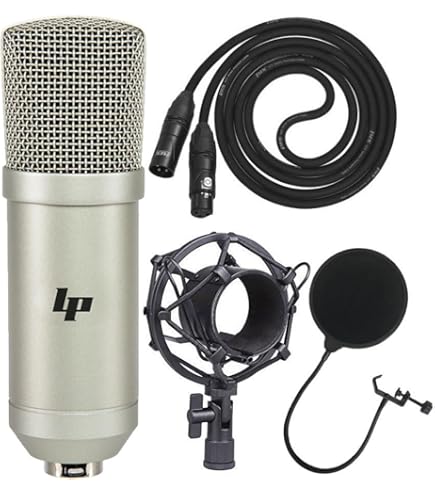 Amazon.com: LyxPro Condenser Microphone for Studio, Vocals